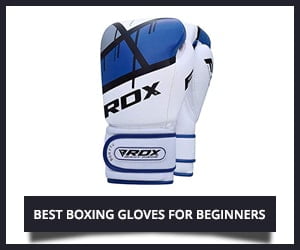 RDX Ego Boxing Gloves
