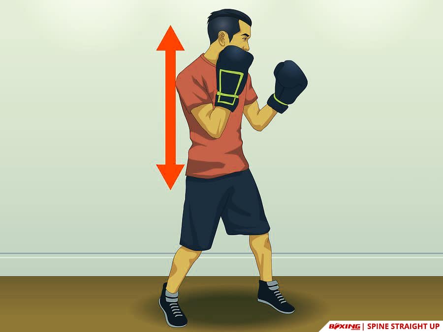 Do Boxing Footwork Spine Straight Up
